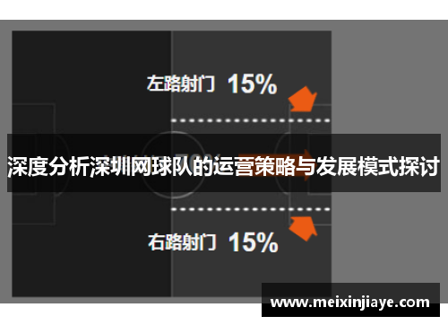 深度分析深圳网球队的运营策略与发展模式探讨