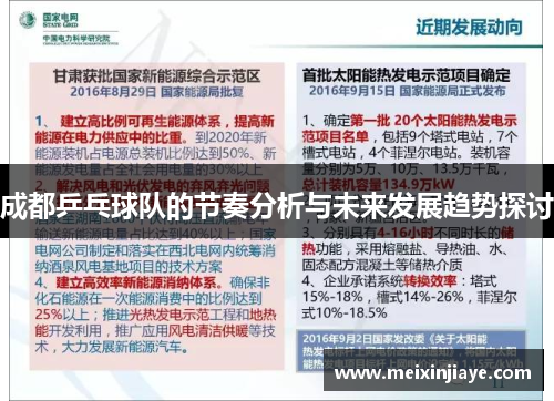 成都乒乓球队的节奏分析与未来发展趋势探讨