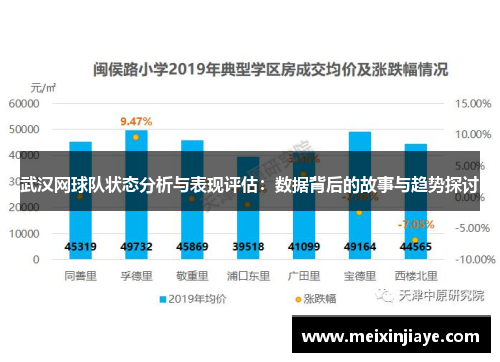 武汉网球队状态分析与表现评估：数据背后的故事与趋势探讨